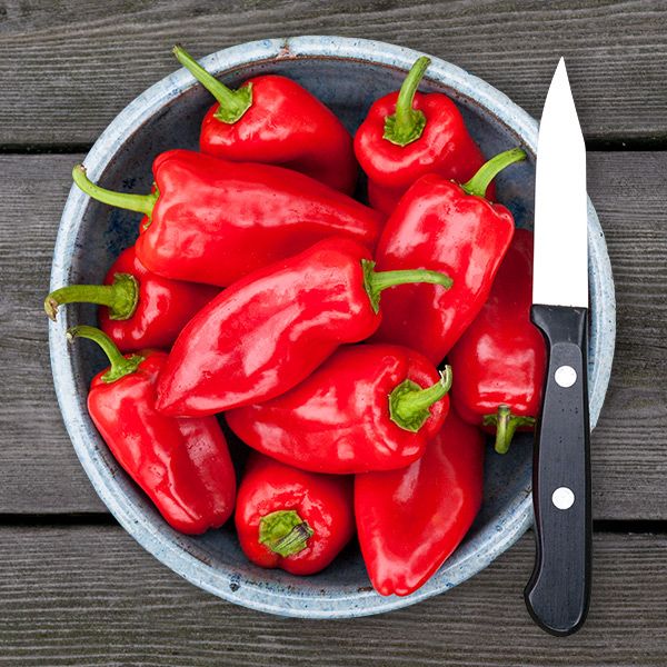 HMS Red Picnic Pepper: 10 seeds