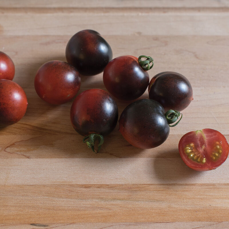 Indigo Cherry Tomato