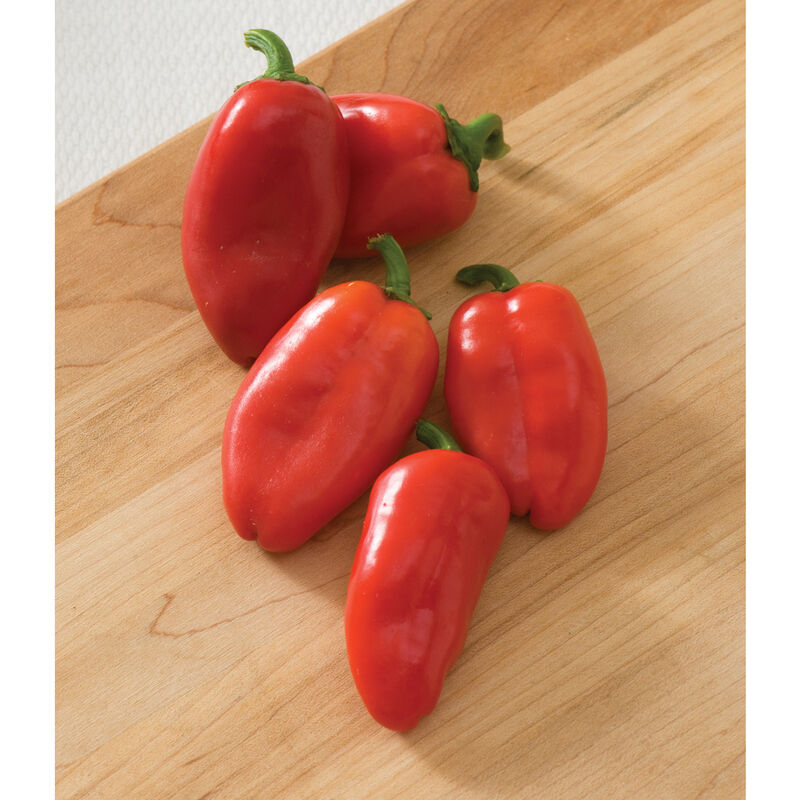 Red Lunch Box Pepper